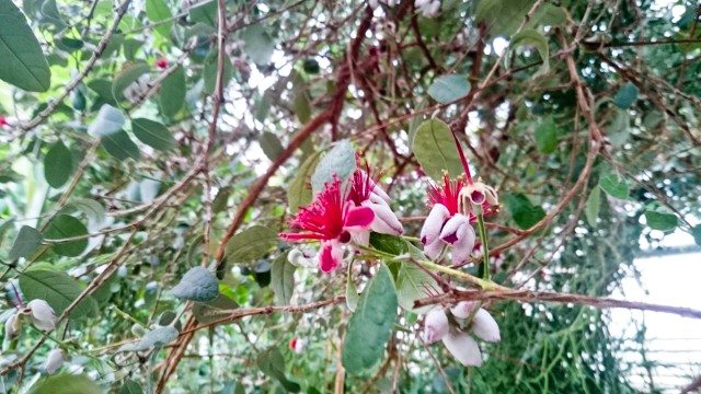 botanicheskiy-sad-ufa17